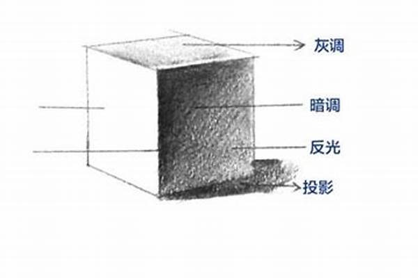 物体的明暗光影是根据什么变换的 急,